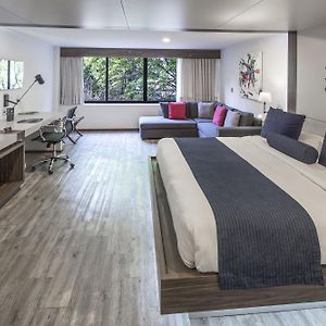 Suite Junior